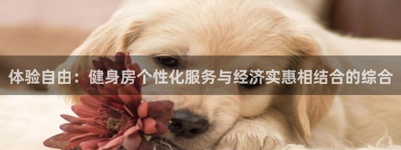 意昂4平台