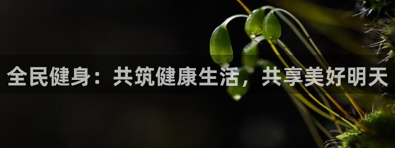 意昂4平台
