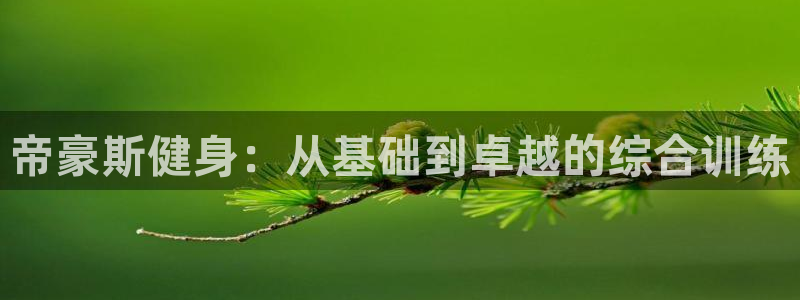 意昂4代理
