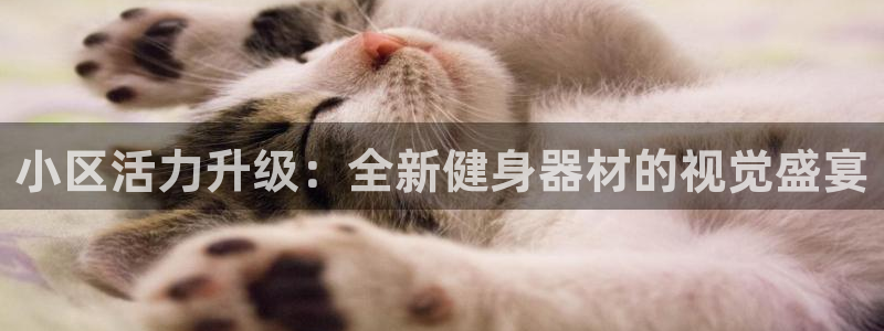 意昂4官网