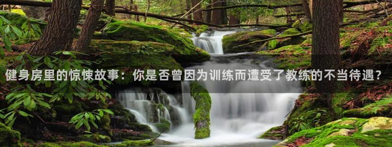 意昂4平台