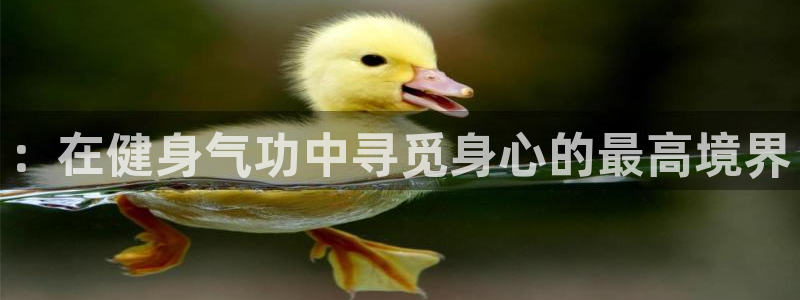 意昂4注册