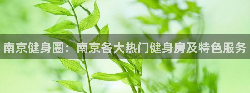 意昂4代理