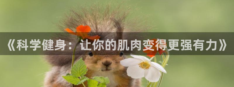 意昂4代理