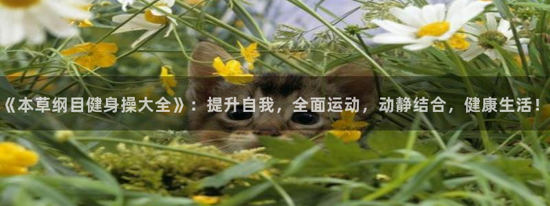 意昂4官网