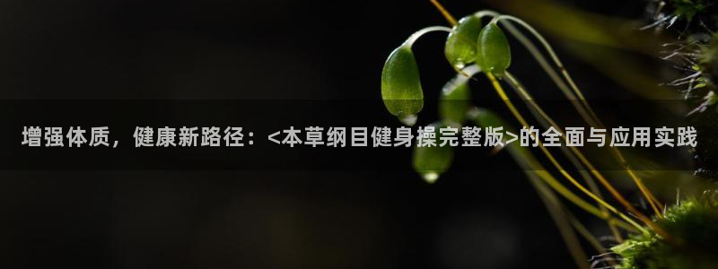 意昂4代理