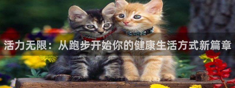 意昂4娱乐